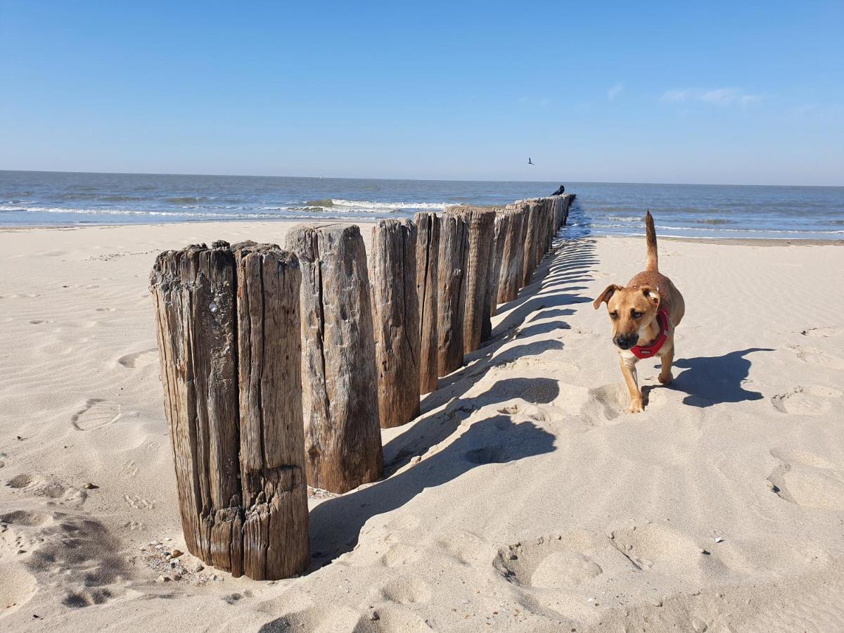Bonnies Beach & Spa Duinnest Cadzand Bagian luar foto